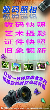 数码摄影与数字广告设计 打造吸睛视觉盛宴